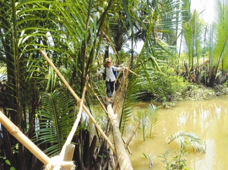Le pont de singe dans le Delta du Mekong